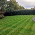 5 Summer Cleaner Gardening Tips for a Greener Lawn